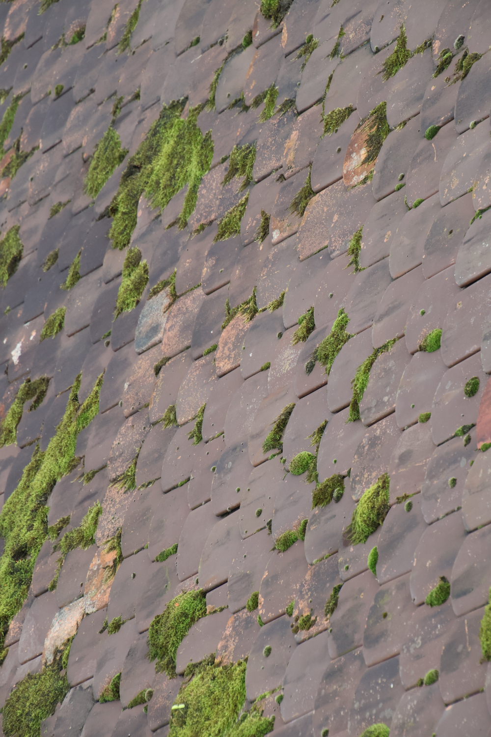 2026 kirchendach detail