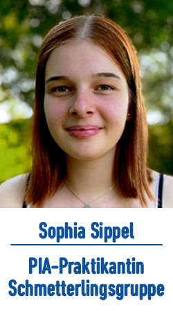 Teambild Spohia Sippel
